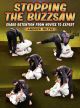 Stopping The Buzzsaw Com Andrew Wiltse