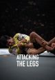 Attacking the Legs By Diego "Pato" Oliveira