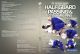 Half Guard Passing & Dynamic Pins Com John Danaher Legendado Em Português