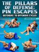 The Pillars of Defense: Pin Escapes - Defensive to Offensive Cycles by Gordon Ryan