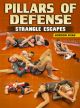 Pillars Of Defense: Strangle Escapes By Gordon Ryan