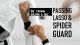 Passing The Lasso and Spider Guard Masterclass by Tainan Dalpra and Gui Mendes