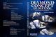 Diamond Concept of Defense Com  Xande Ribeiro